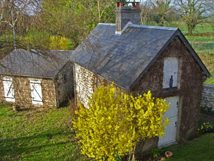Our front garden as viewed from the guest bedroom upstairs