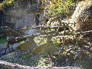 Plow at Troglodyte farm site